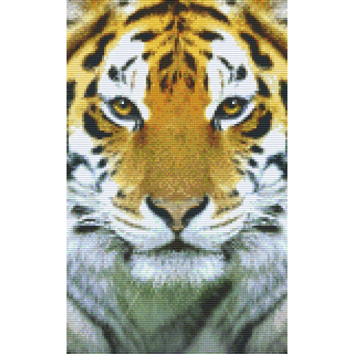 Tiger 808078